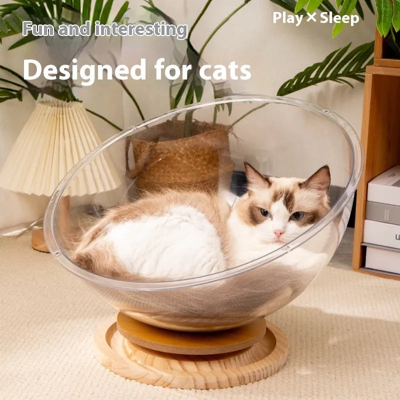 Transparent acrylic cat space capsule bathtub bed showing clear walls and capsule shape