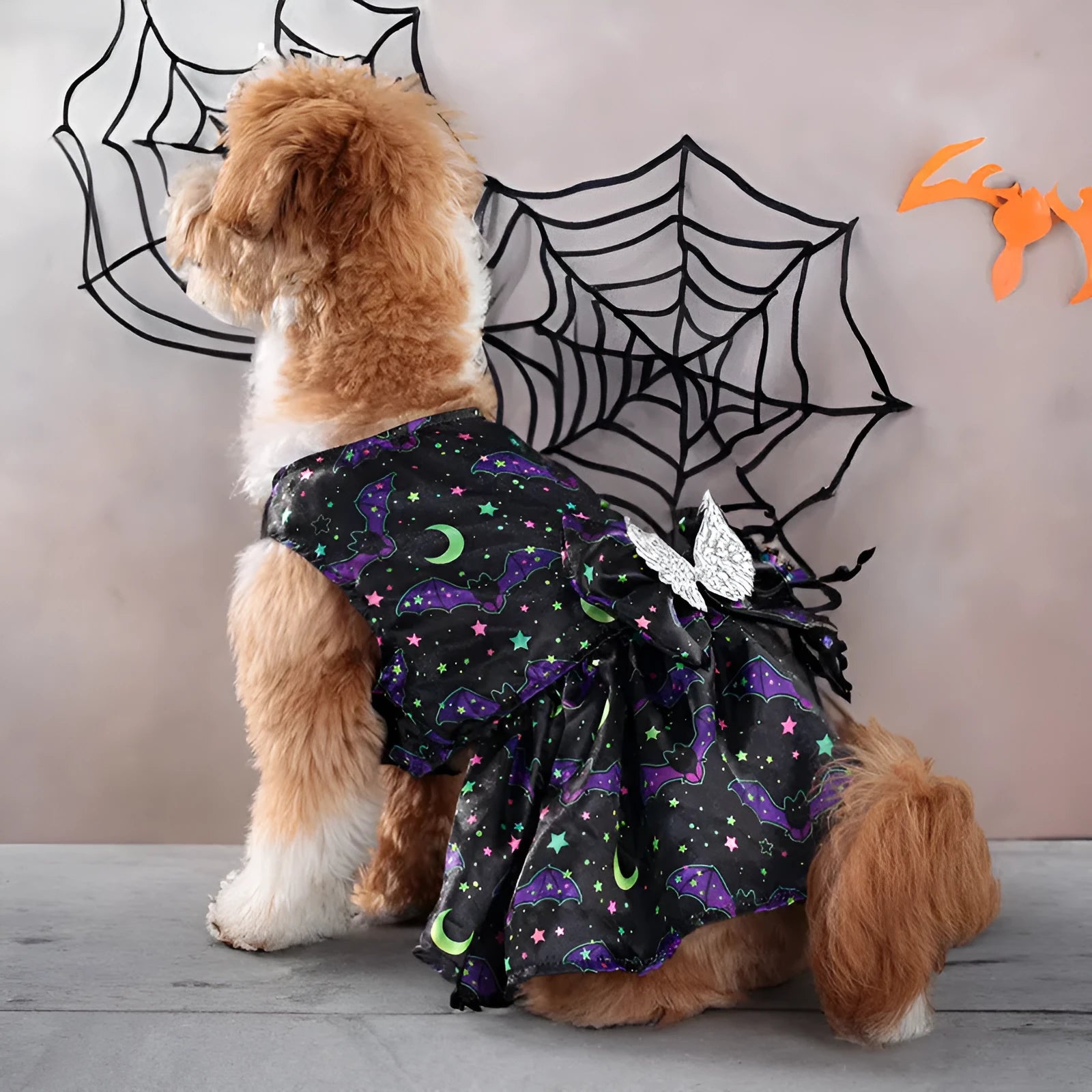 Orange and black Halloween dog costume with angel wings, shown in bright pumpkin and bright bat colours.