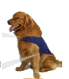 Brown brocade cotton dog anxiety tank top for separation relief, sized for medium dogs.