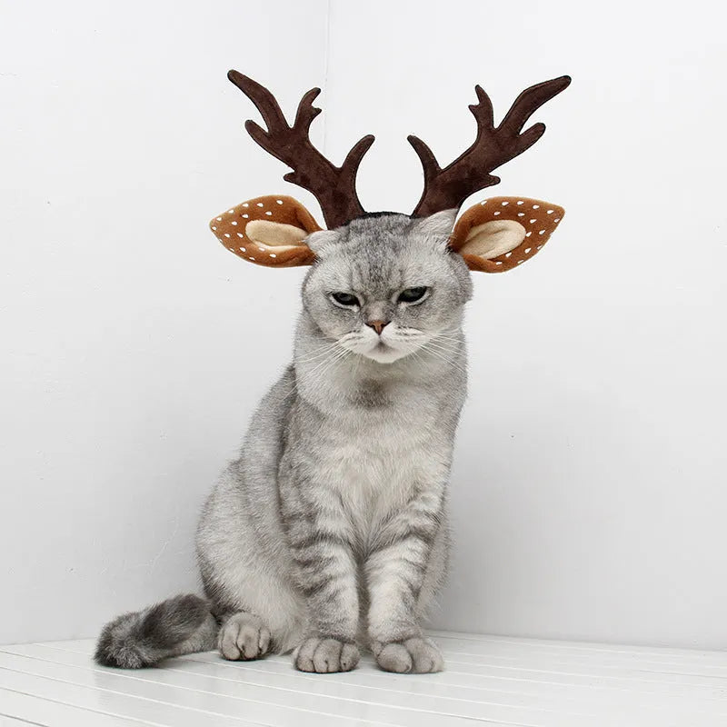 Yellow plush pet antler headband with adjustable hoop on a dog, Christmas reindeer costume