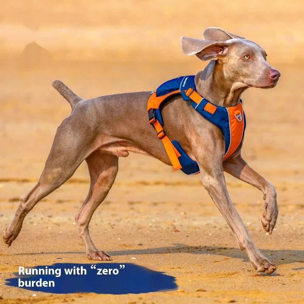 Adjustable nylon dog chest strap harness in vest style with hand rope attachment in orange blue colour