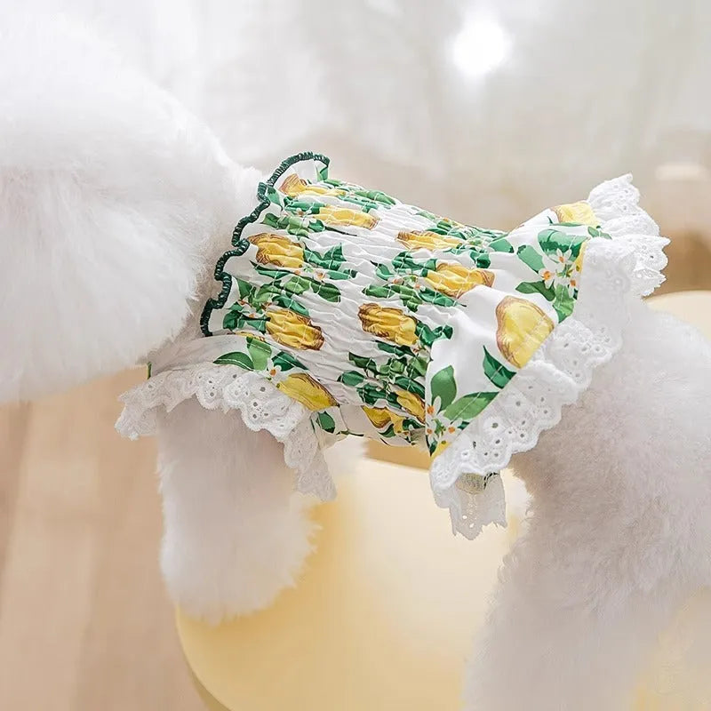 Rock yellow lemon polyester dog dress skirt with adjustable straps on small dog