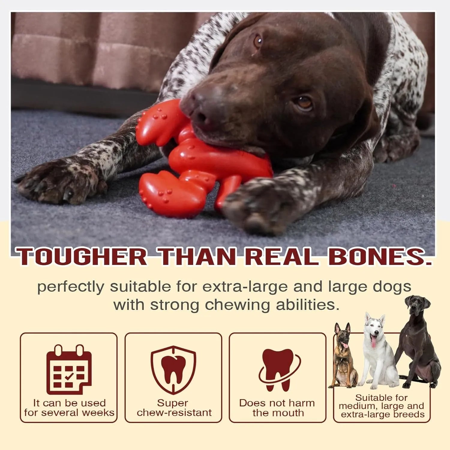 Large red nylon bone-shaped chew toy for aggressive chewing big dogs on a white background.