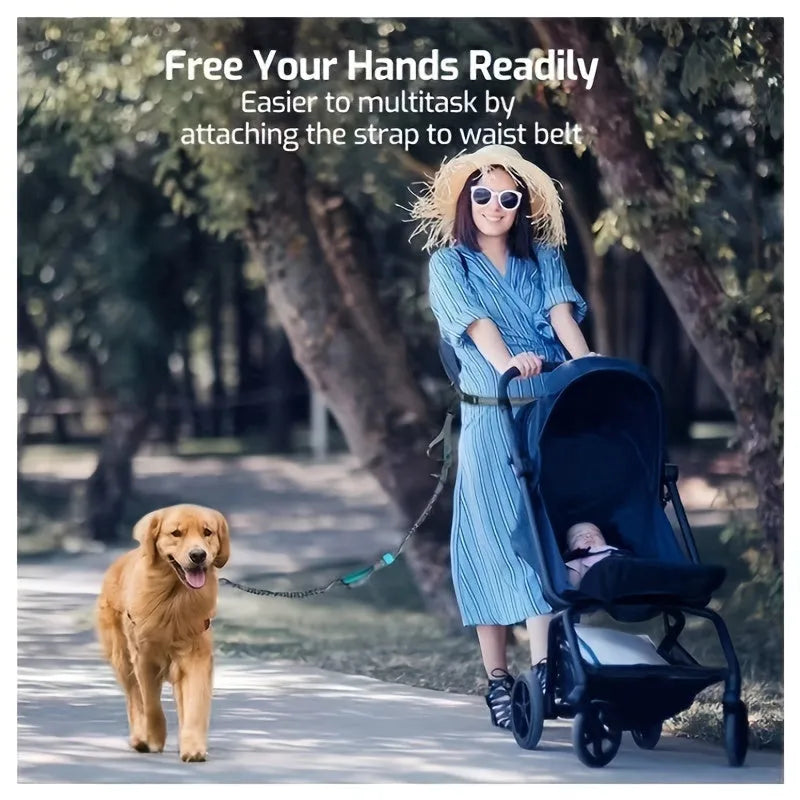 Hands-free dog leash with adjustable waist belt showing reflective trim and quick-release clip