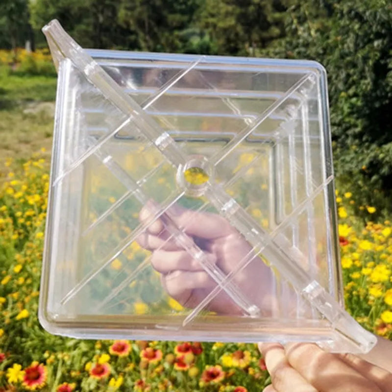 Square-shaped clear plastic watermelon growth mold for shaping fruit, shown at 13cm dimensions.