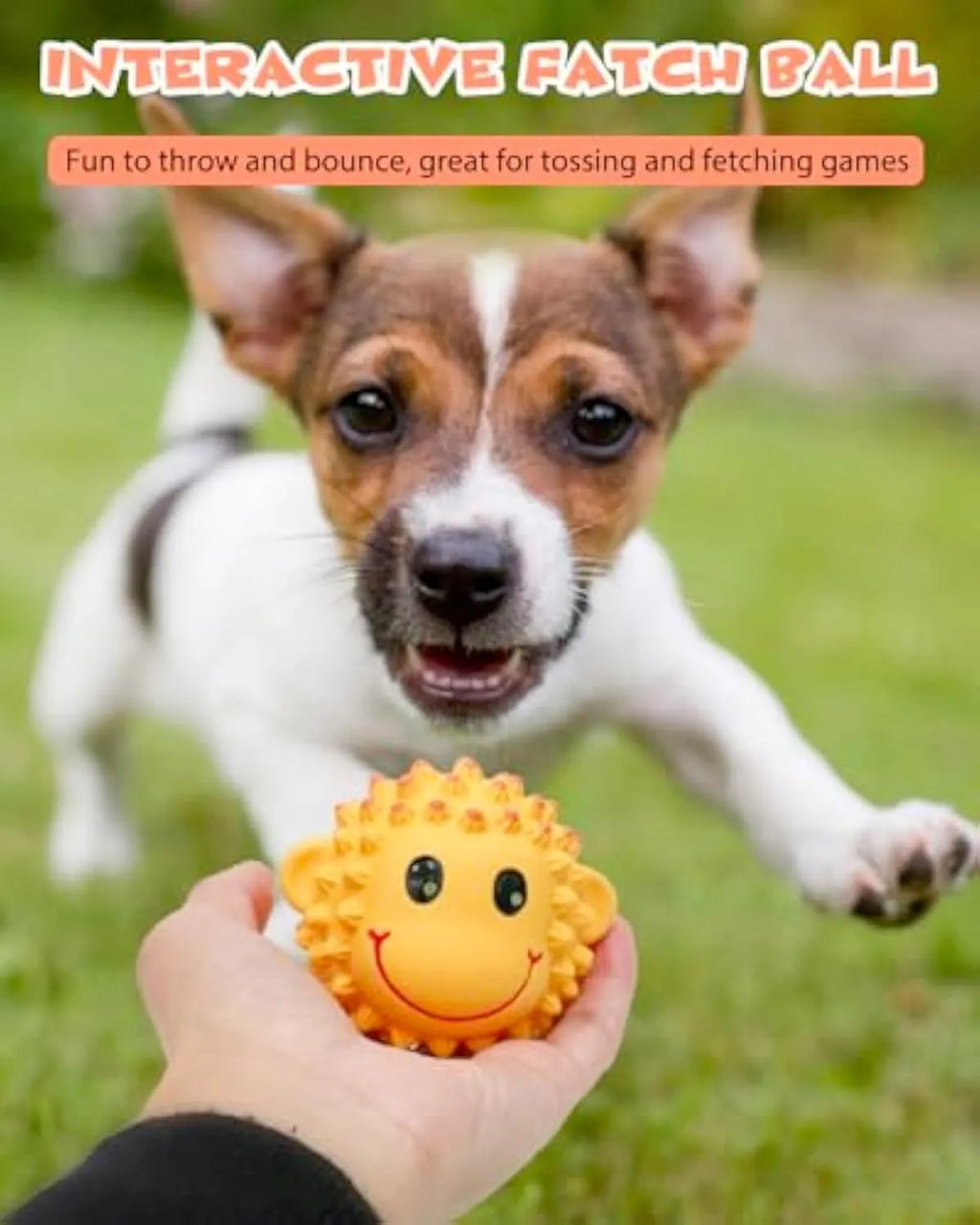 Two spiky squeaky latex dog toys, lamb and monkey designs, on a plain background.