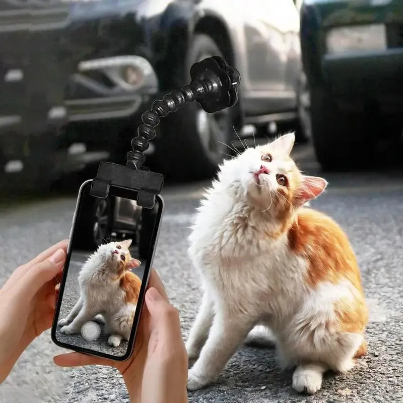 Black plastic pet photography phone holder with clip for dog or cat treats