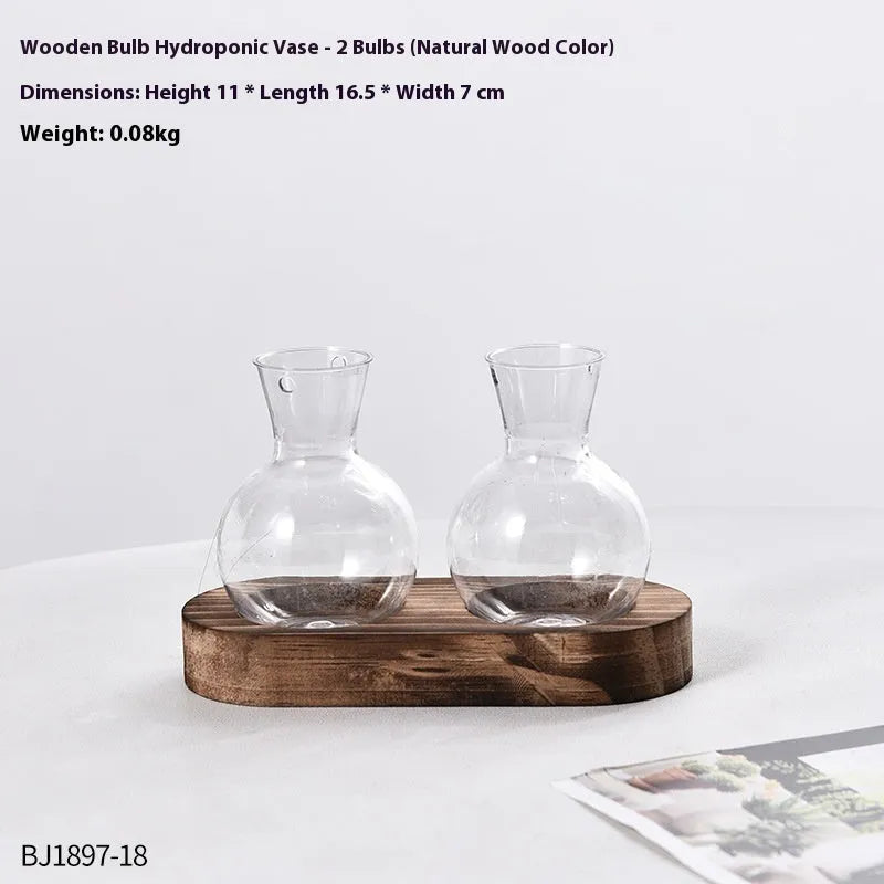 Transparent hydroponic vase in wooden frame for water plant display