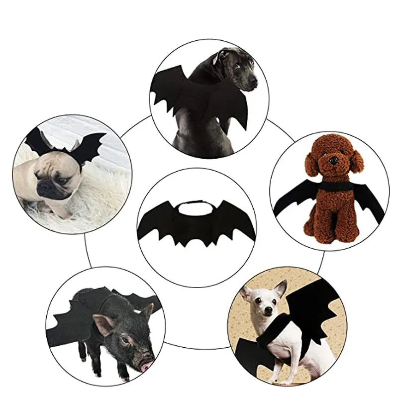 Black felt Halloween bat wings for cats and small dogs with Velcro neck and chest straps, 1PC