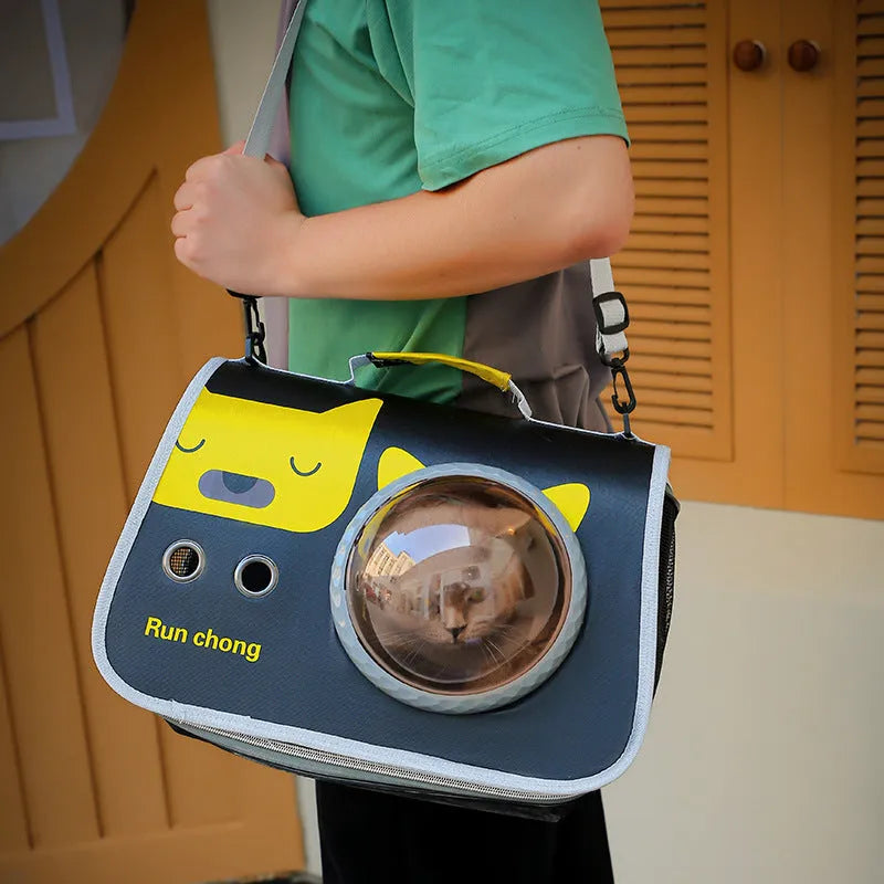 Transparent nylon pet carry bag with cartoon pattern and carrying handle
