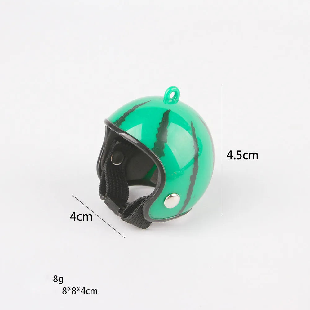 Small hard plastic pet helmet with elastic straps, shown on a chicken.