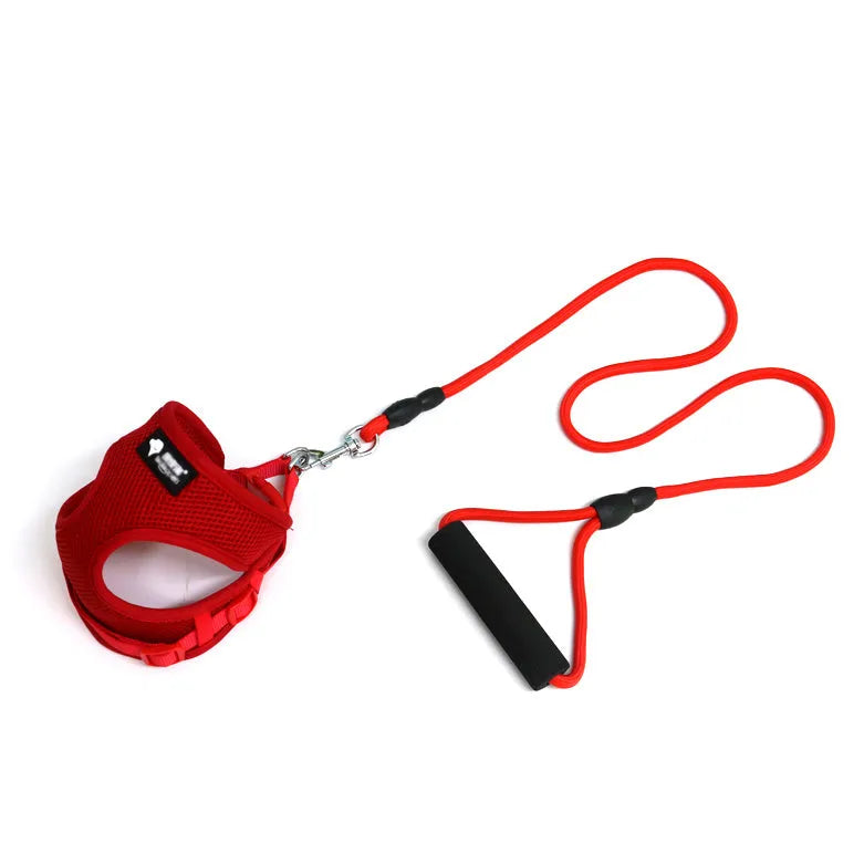Blue nylon dog leash and collar set with a foam-padded handle on a white background