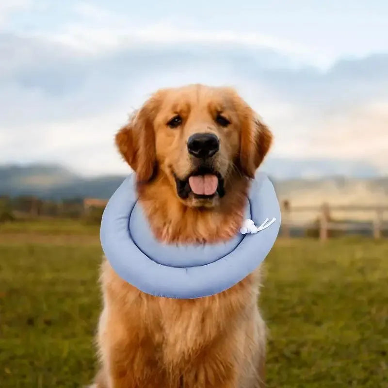 Adjustable waterproof Elizabethan recovery collar for dogs and cats in blue, gray, and pink with size options from S to XXXXL