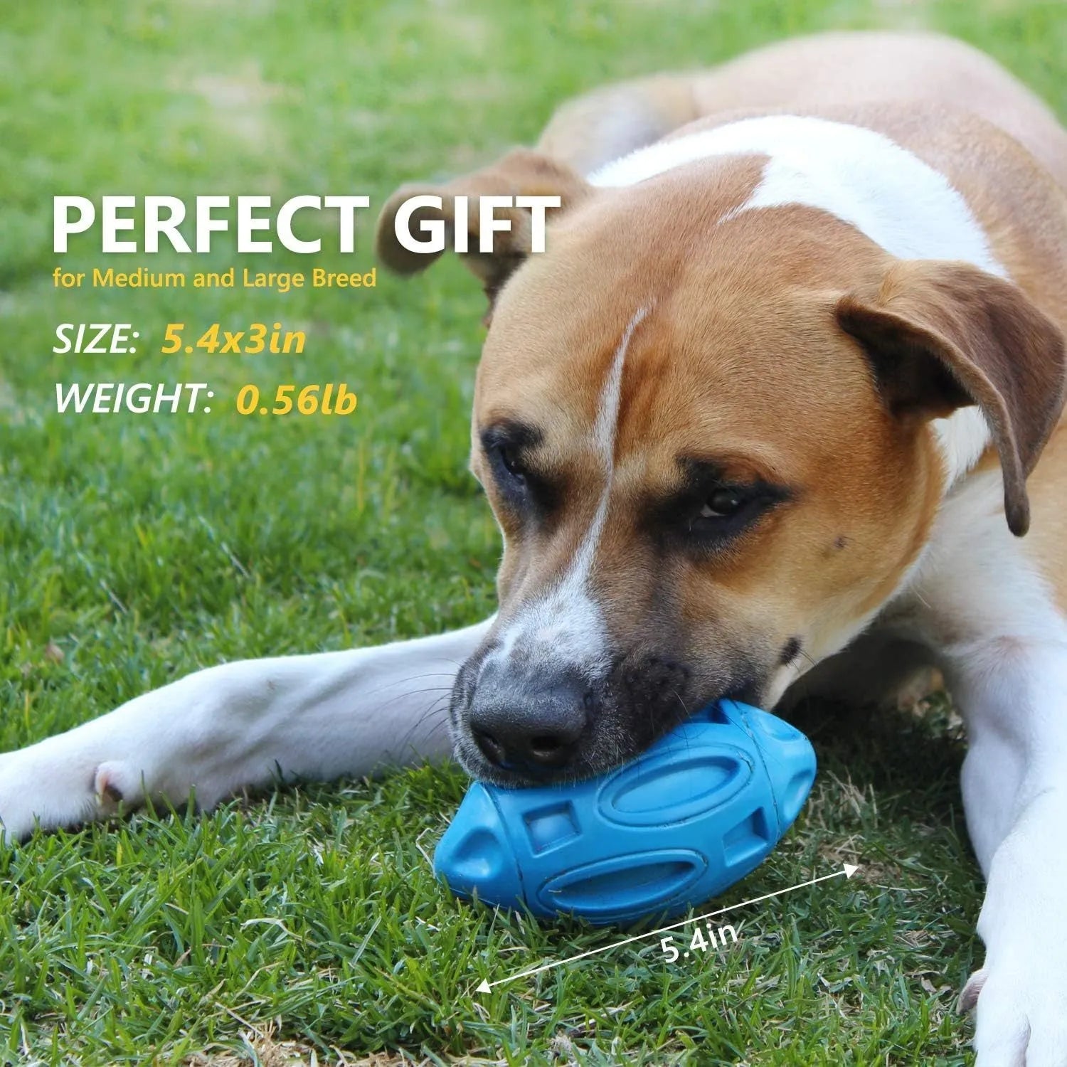 Blue, green, and orange natural rubber squeaky dog chew ball with surface grooves.