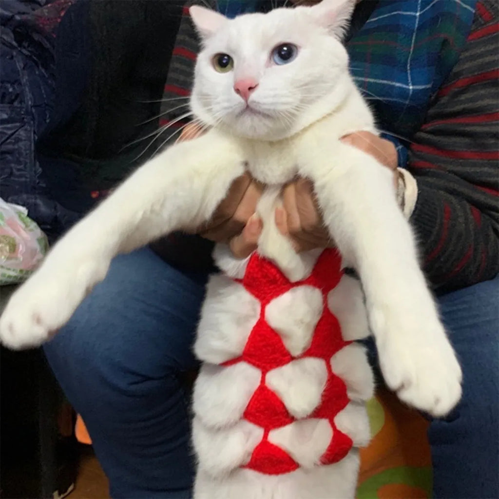 Colour options for sweet style cat bikini costume including black, green, pink, red, and rose red