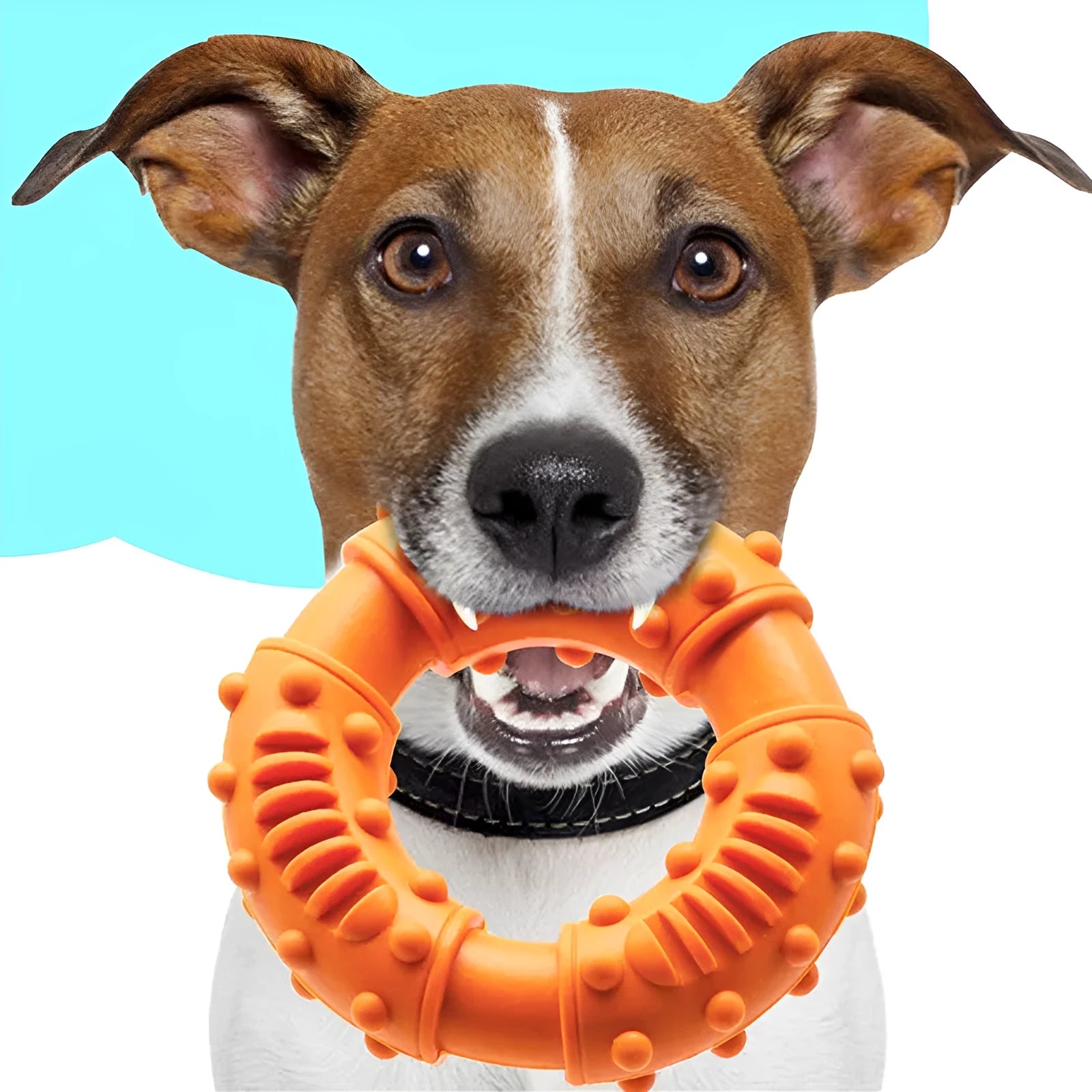 Blue hollow dog fetch stick toy lying on grass, showing its lightweight chewy construction.