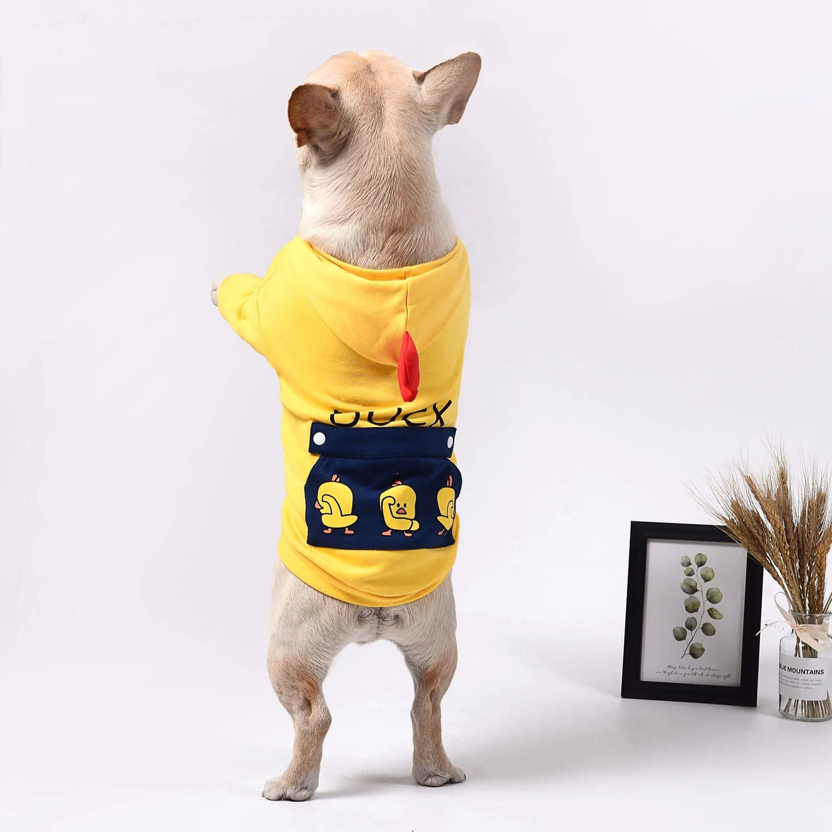 Cotton wool pet dog sweatshirt pull frame in blue red yellow, sizes XS to 2XL and FB