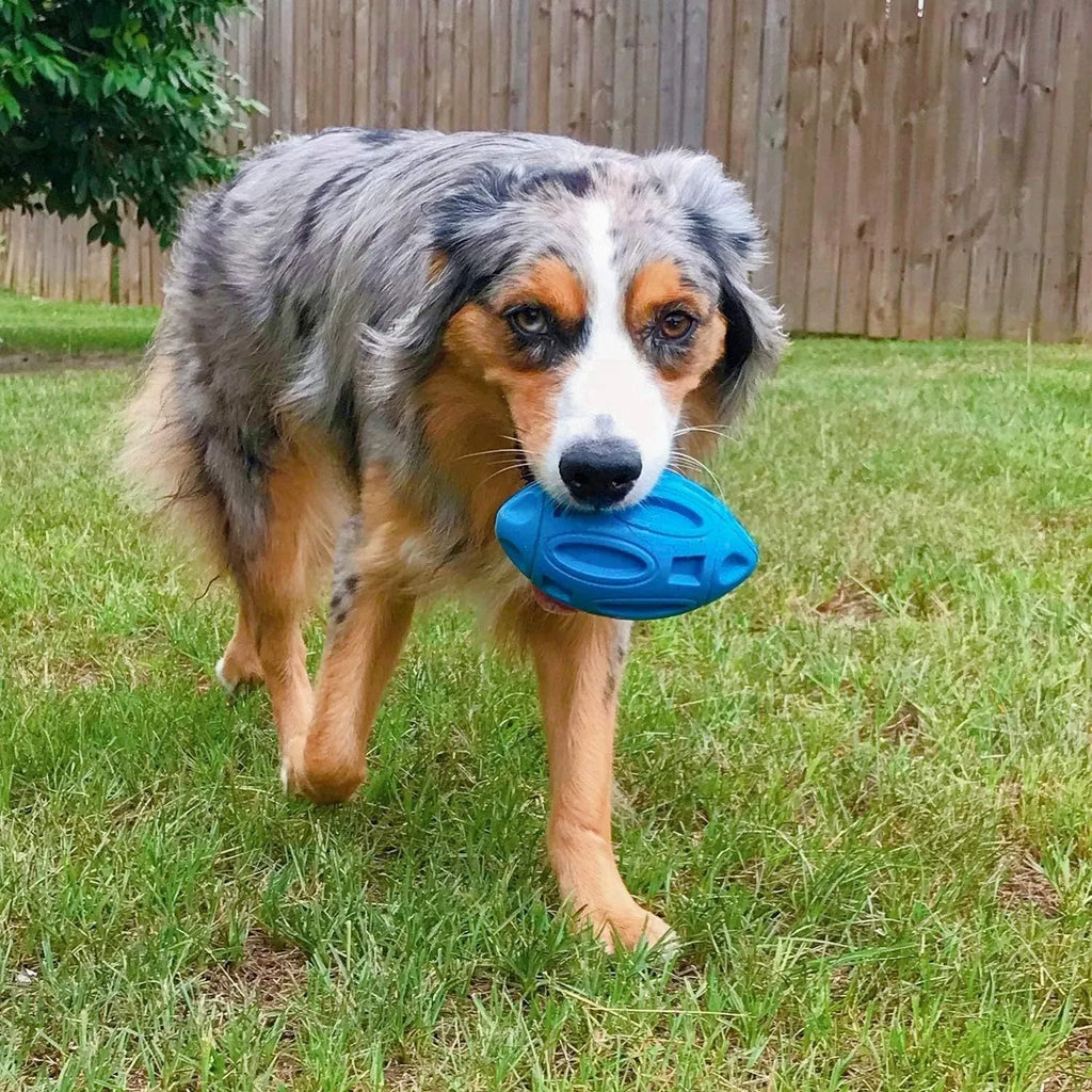 Blue, green, and orange natural rubber squeaky dog chew ball with surface grooves.