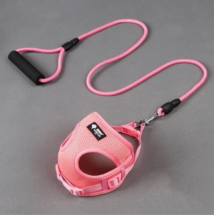 Blue nylon dog leash and collar set with a foam-padded handle on a white background