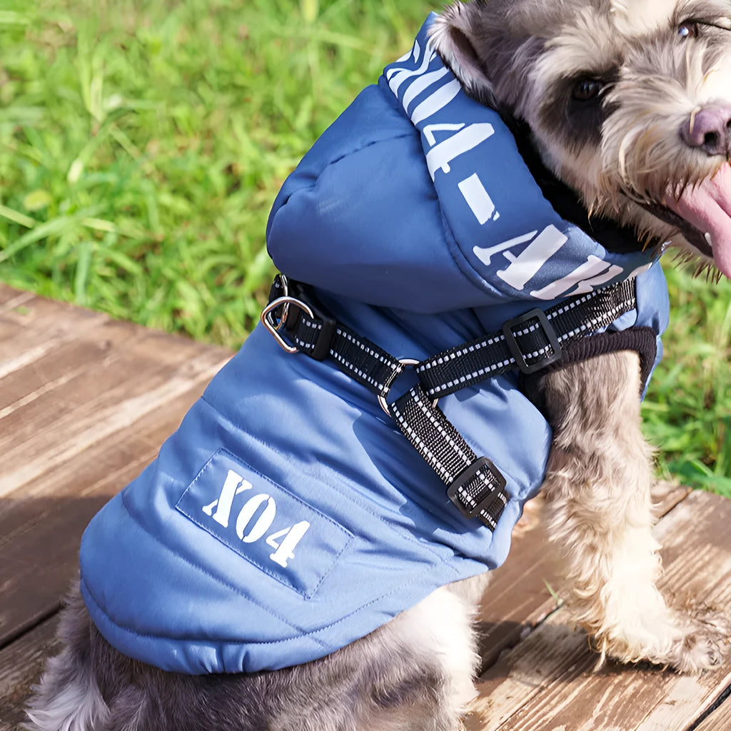 Red fleece-lined waterproof winter dog jacket with hood on medium-sized dog outdoors