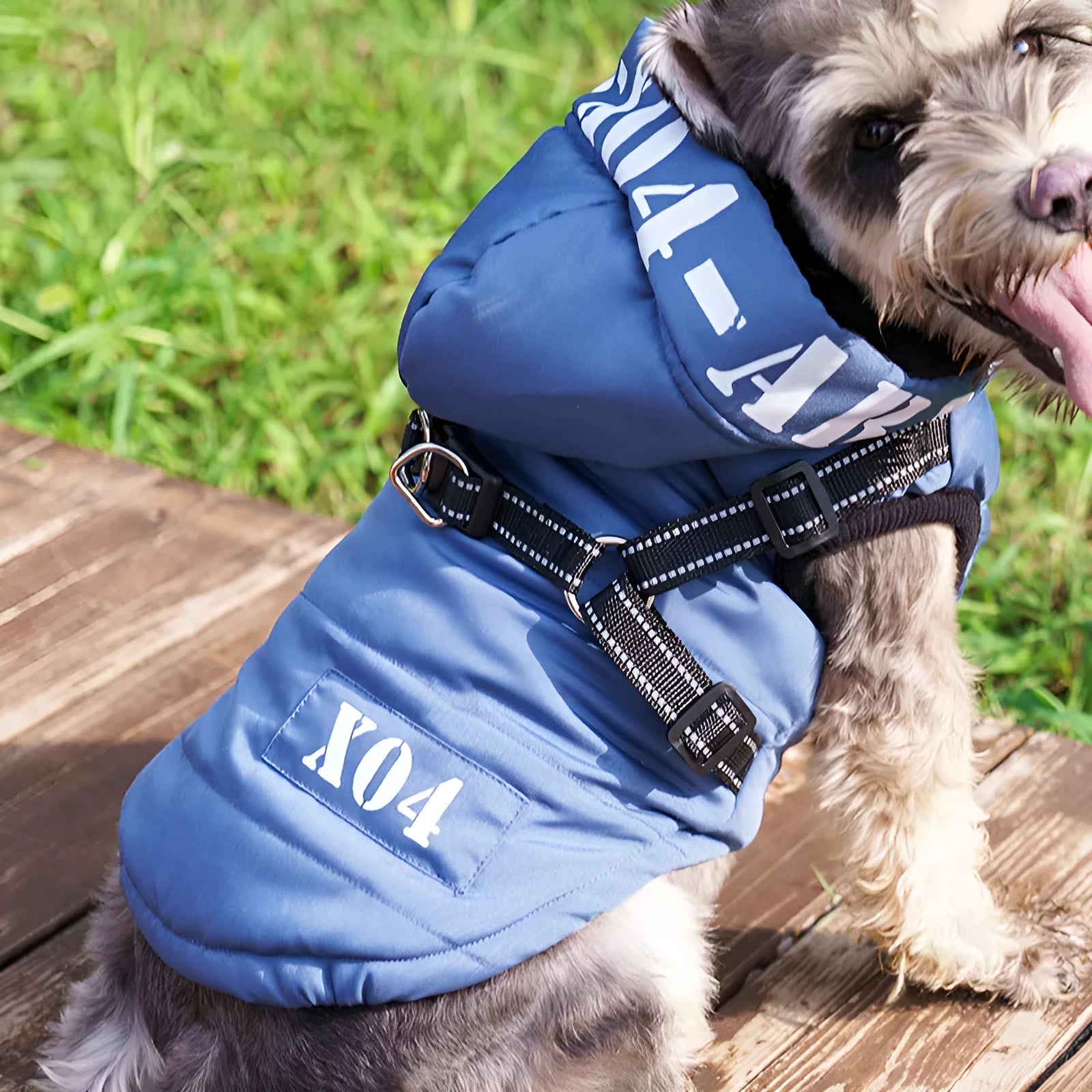 Red fleece-lined waterproof winter dog jacket with hood on medium-sized dog outdoors