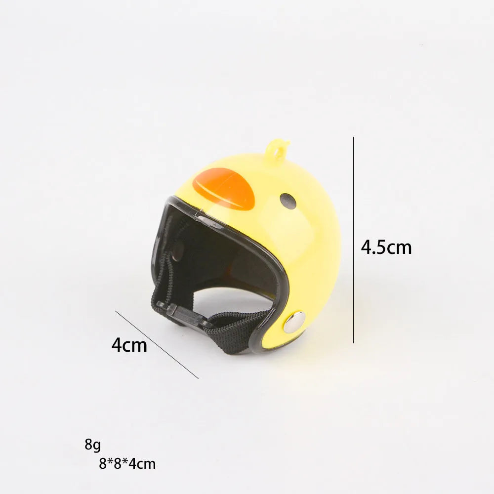 Small hard plastic pet helmet with elastic straps, shown on a chicken.
