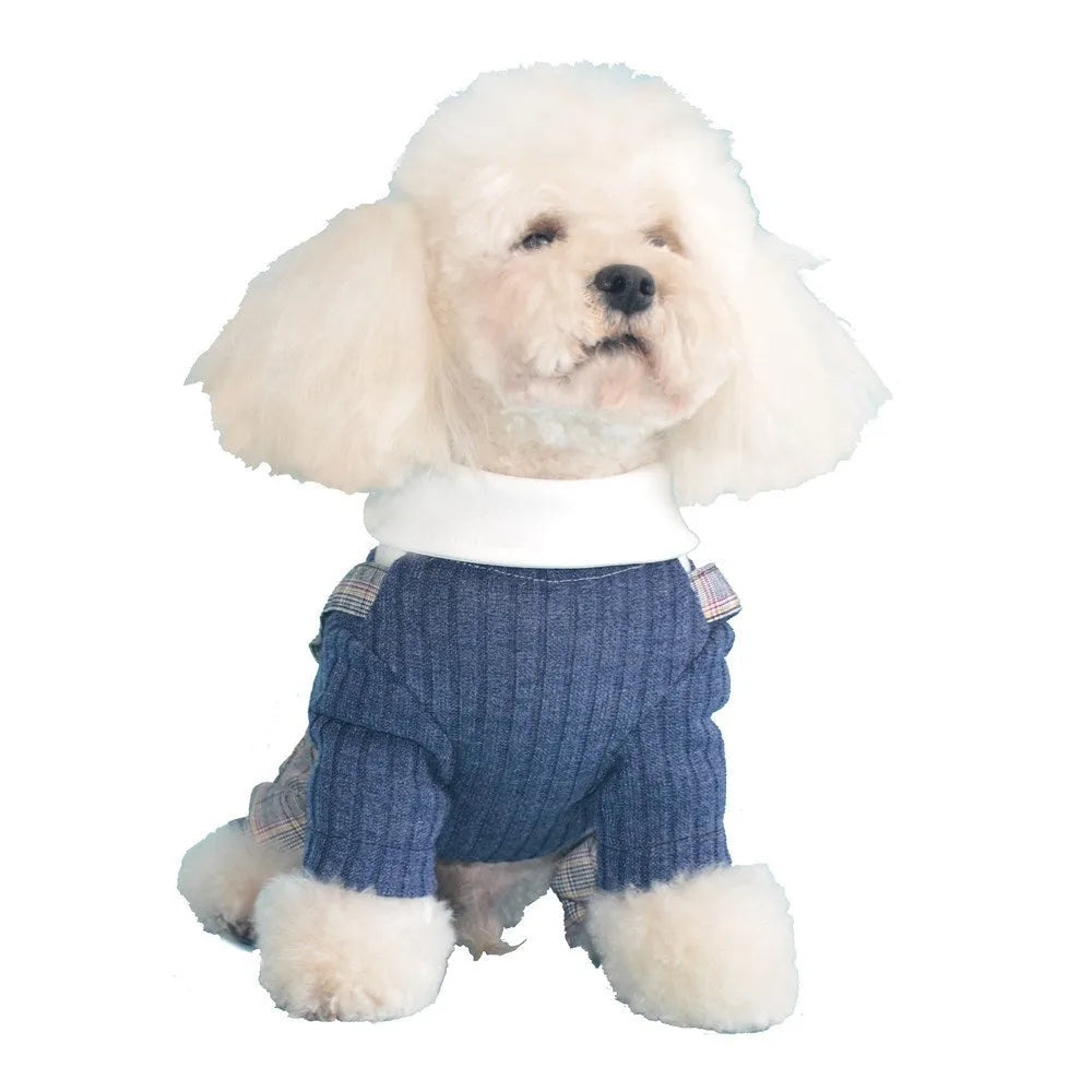 Cotton dog shirt in dark blue and orange colours available in sizes S M L XL 2XL