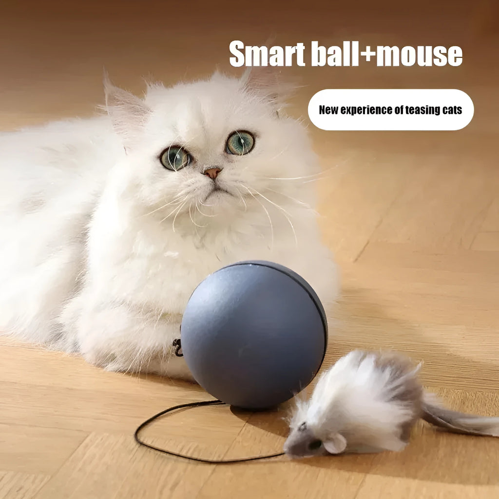 Blue orange automatic cat teasing ball with plush mouse attachment rolling on floor