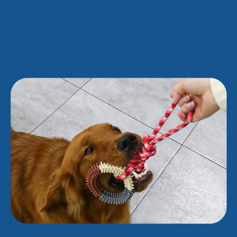 Blue, red and rose red braided rope dog toy with knots for aggressive chewing