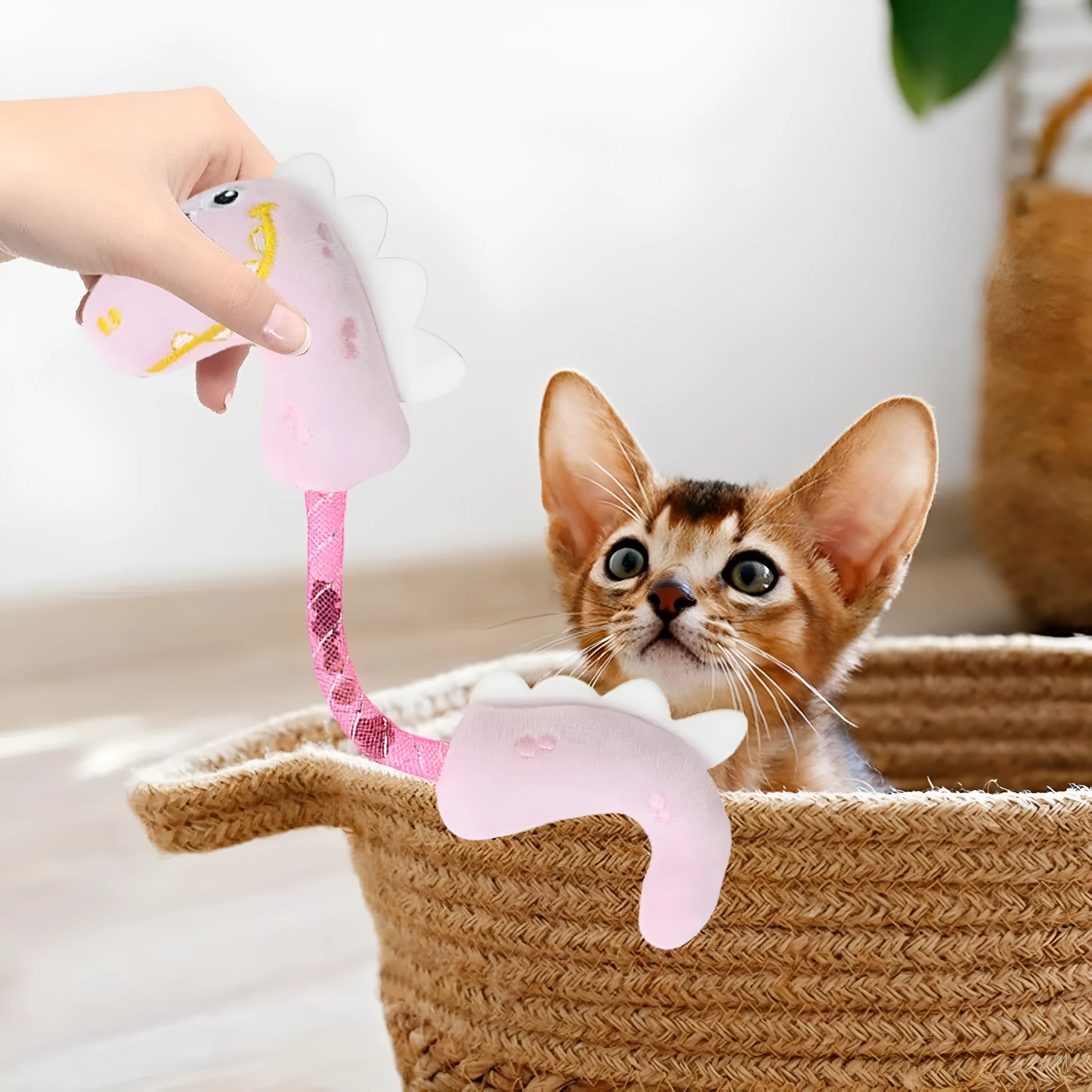 Set of four cat toys: plush chew toy, catnip rope, spring, and kicker toy on a pink background.