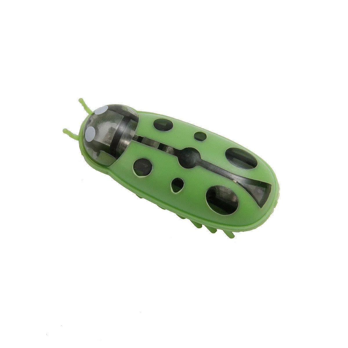 Miniature electric cat teasing toy in ladybug style with red and black colours.