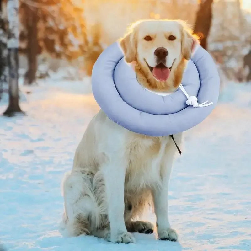 Adjustable waterproof Elizabethan recovery collar for dogs and cats in blue, gray, and pink with size options from S to XXXXL
