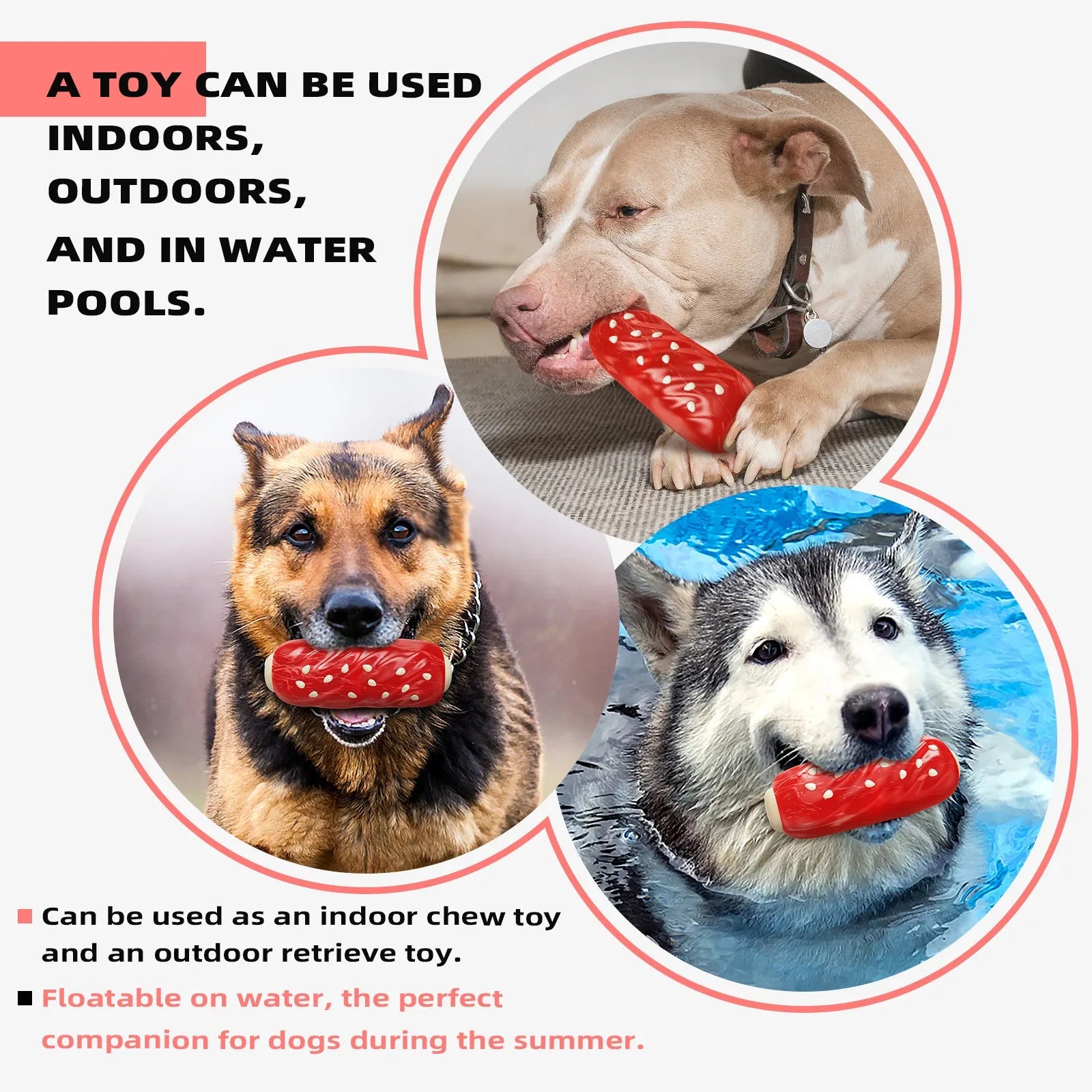Primary coloured plastic dog chew toy shaped like a textured molar rod and toothbrush.
