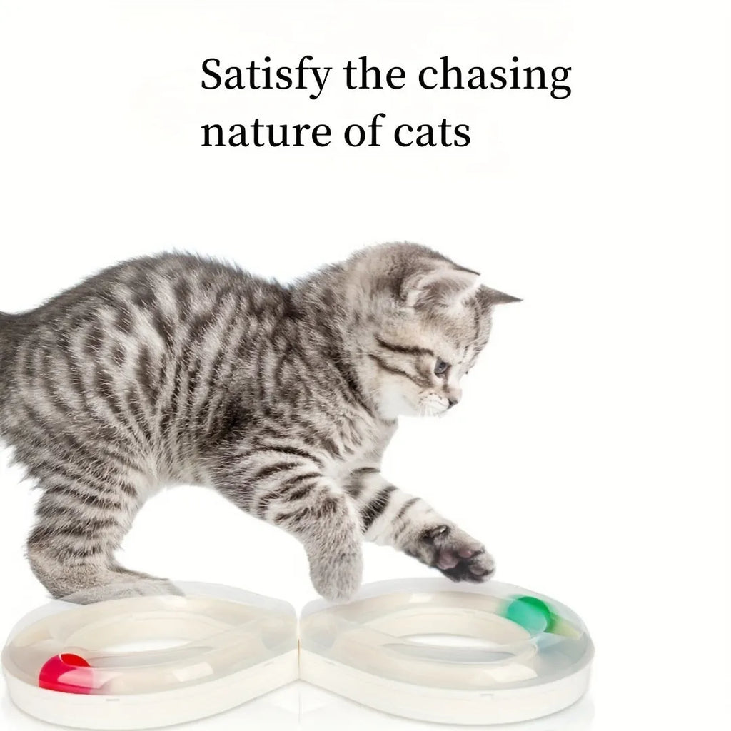Cat toys set with rotating track ball turntable and teasing stick on white background