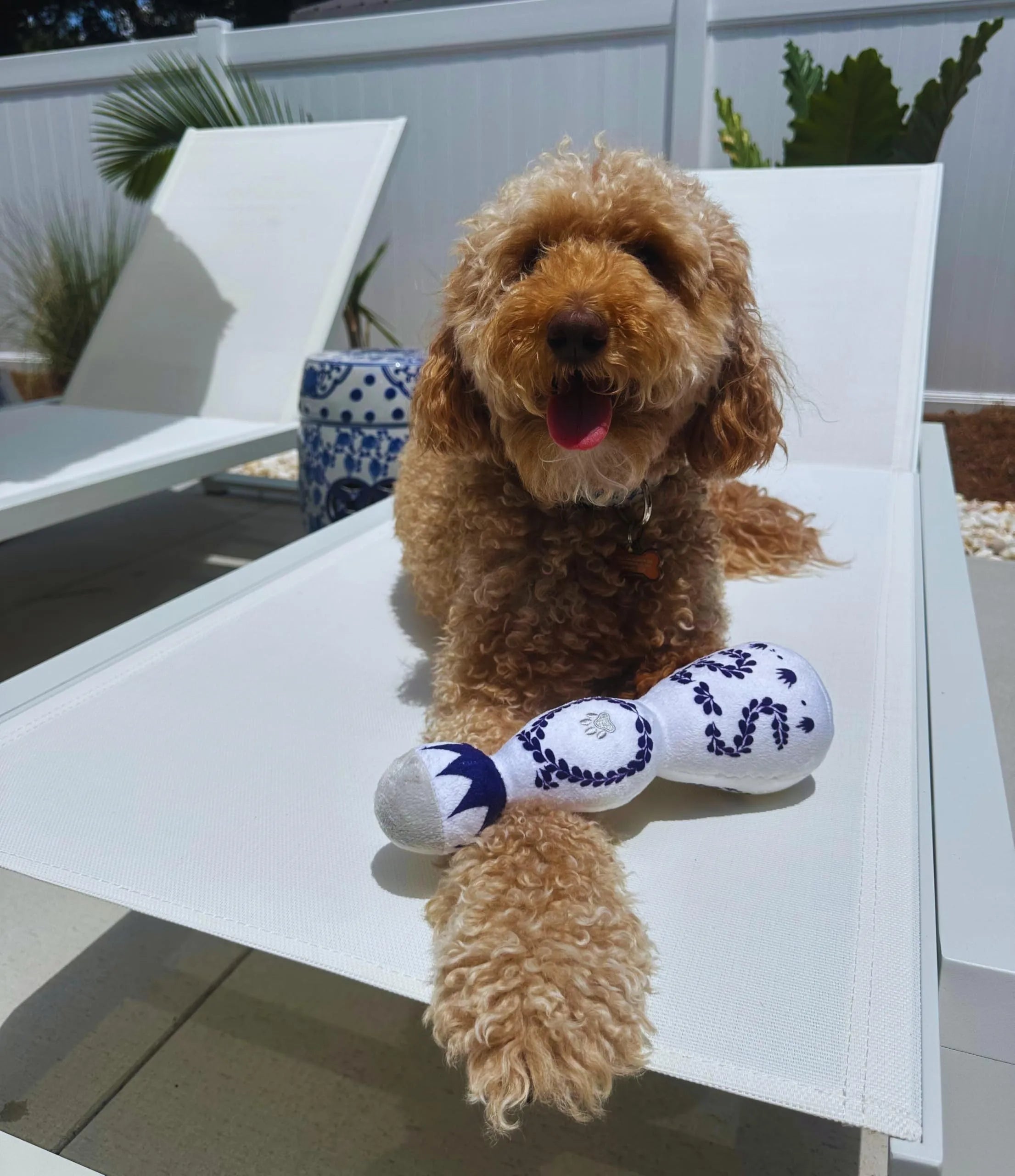 Red and white tequila bottle plush dog toy with squeaker, 26cm tall