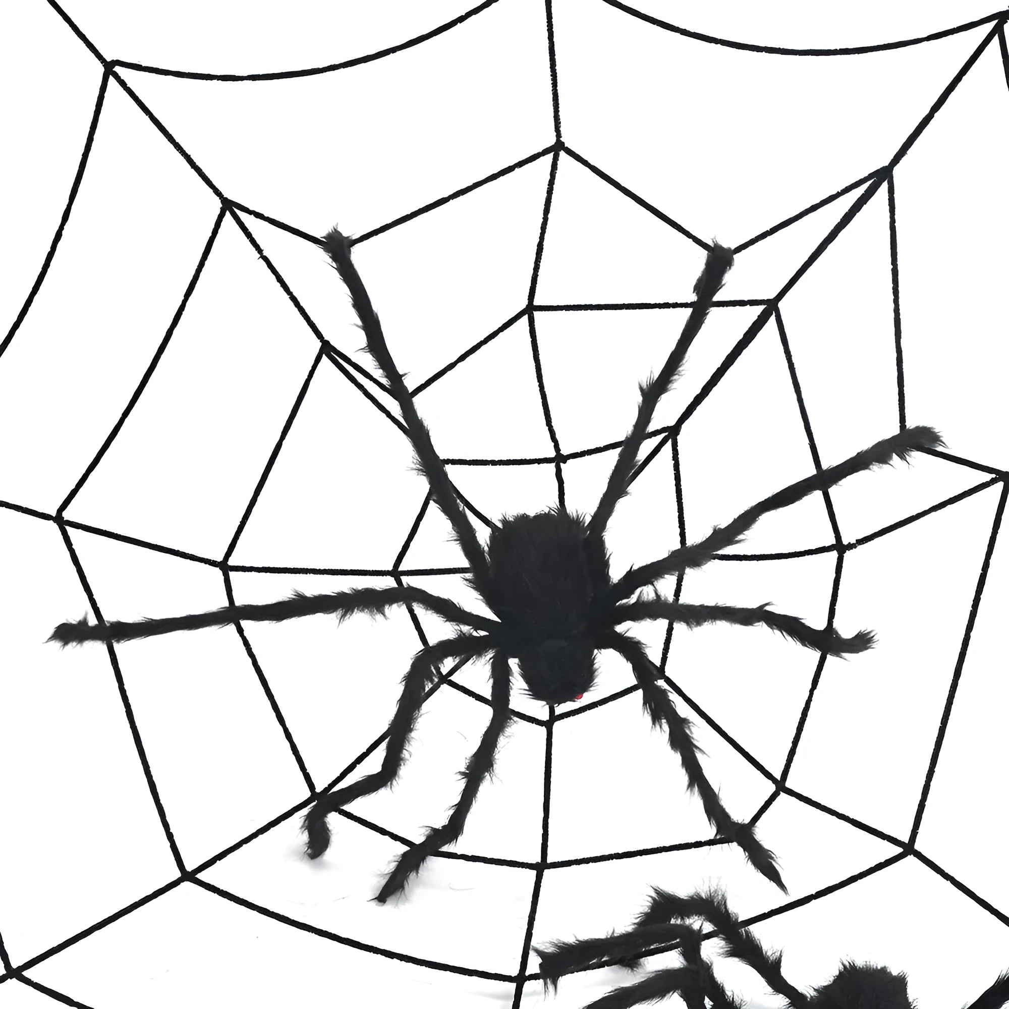 Halloween decoration set with 50cm black polyester spider and 3.6m white web circles