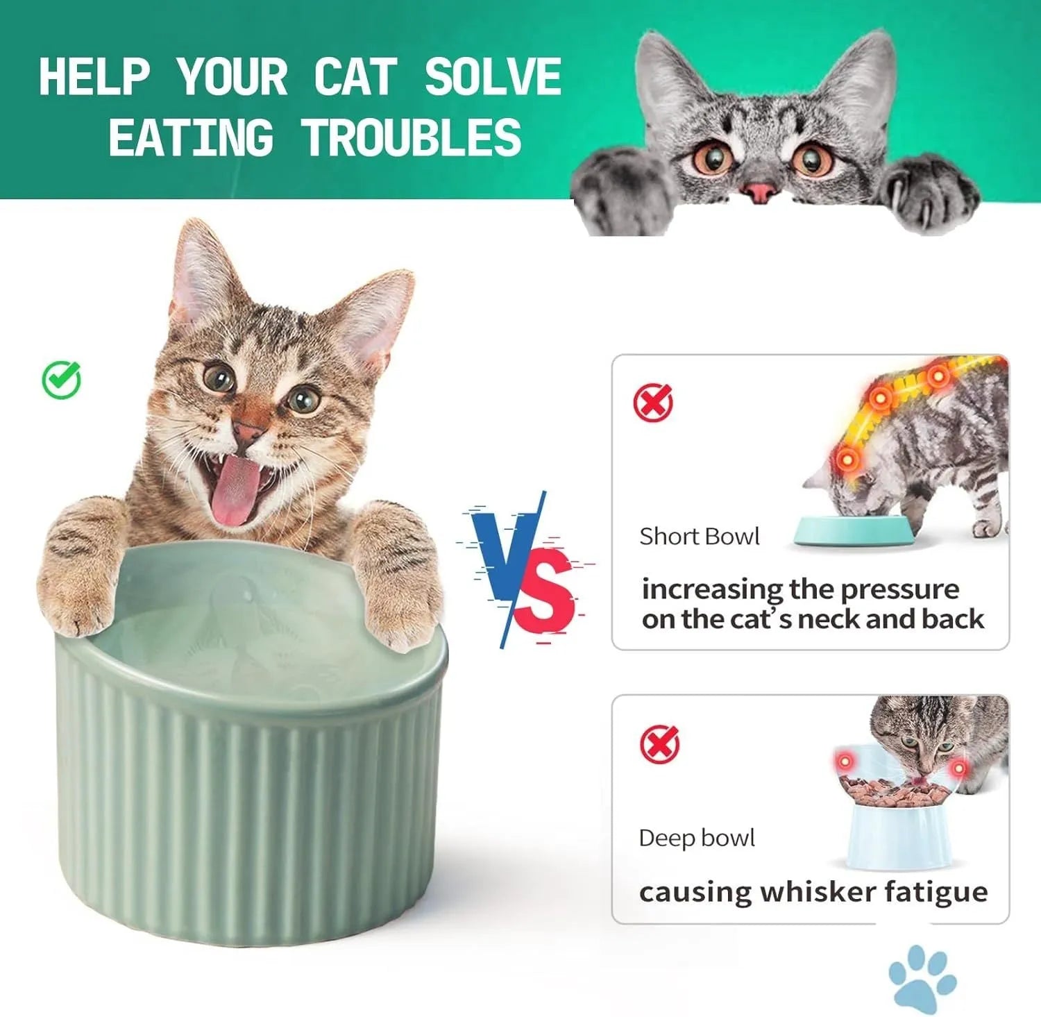 Elevated ceramic cat bowl in light green, showing tilted design and round whisker-friendly shape
