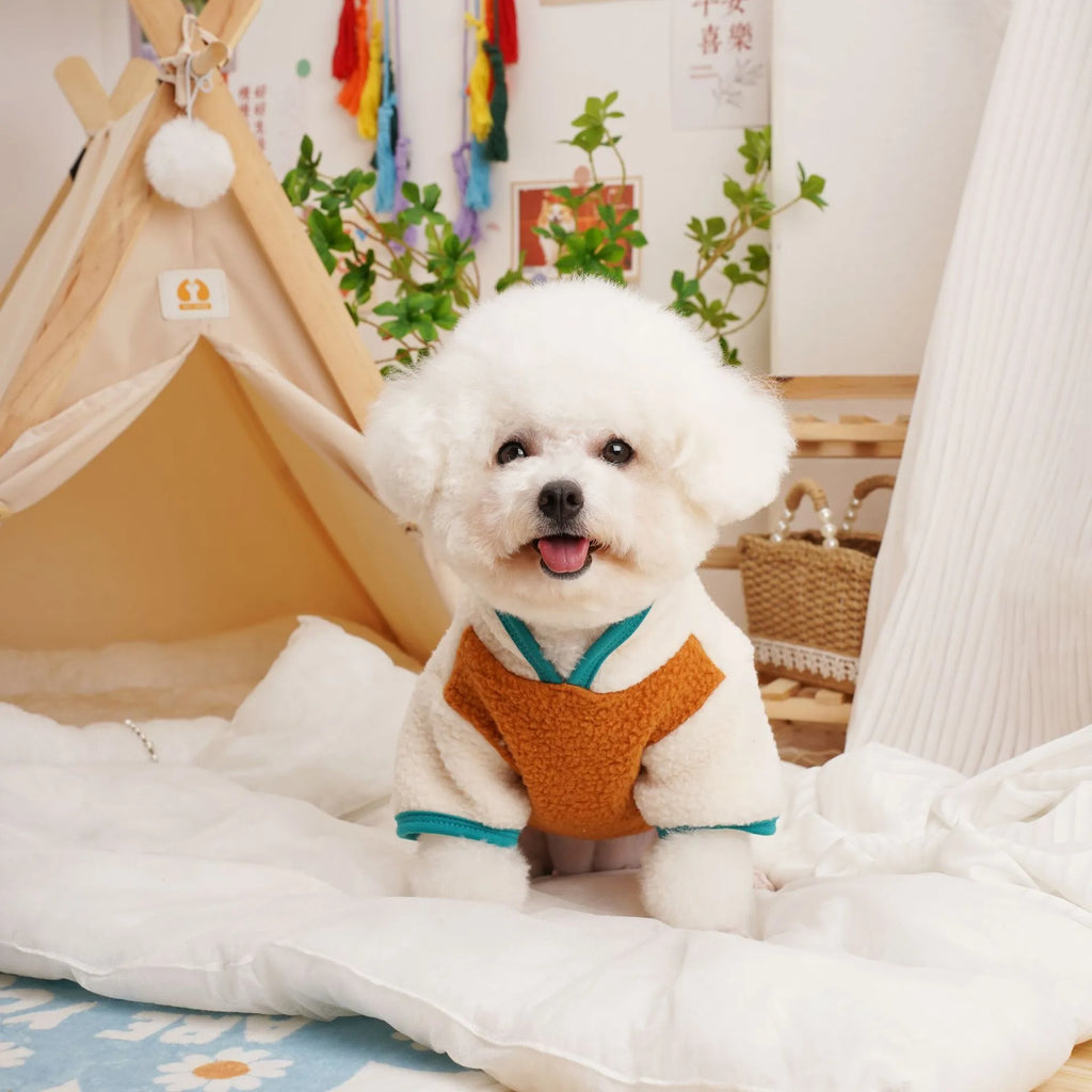 Caramel coloured lambswool fleece dog sweatshirt for autumn and winter wear.