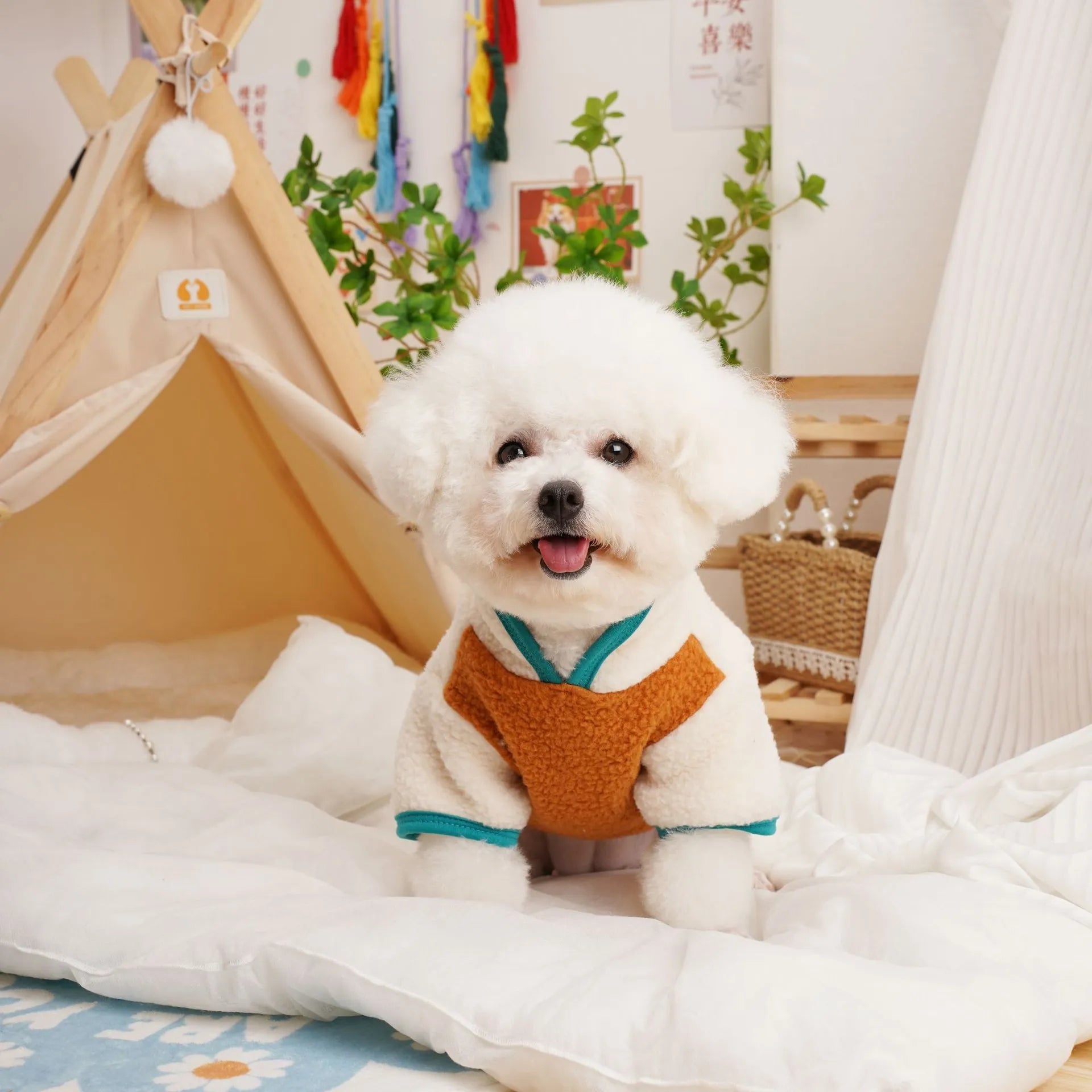 Caramel coloured lambswool fleece dog sweatshirt for autumn and winter wear.
