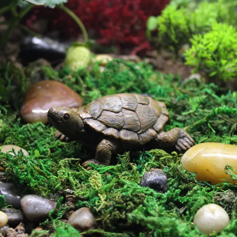 Handcrafted resin simulation turtle ornament for micro landscape and terrarium decoration.
