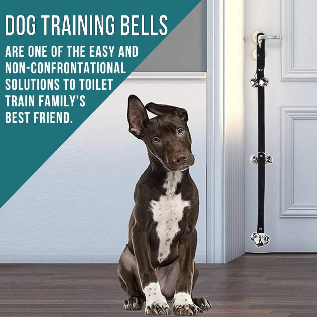 Premium silver metal dog training doorbell with seven large bells on an adjustable nylon strap.