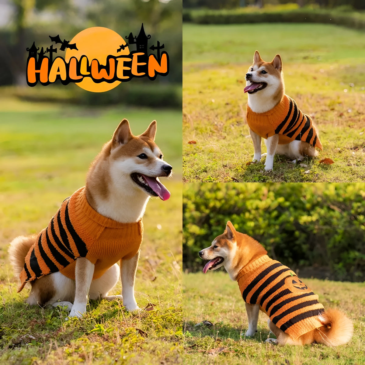 Halloween dog sweater in acrylic for small dogs, orange or black pet costume jumper, sizes XS to XL
