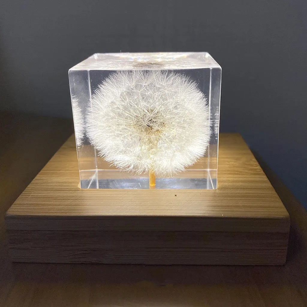 5cm clear resin cube with preserved dandelion flower beside wooden display box and USB charging base