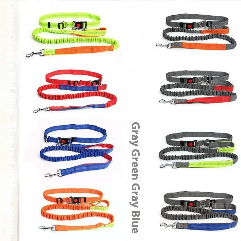 Outdoor running dog leash with night reflective filament sling and elastic adjustment in nylon construction