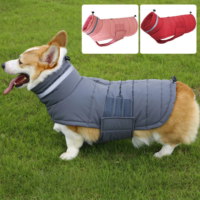 Cold-proof rain-proof pet coat for big dogs in grey trench style outdoor