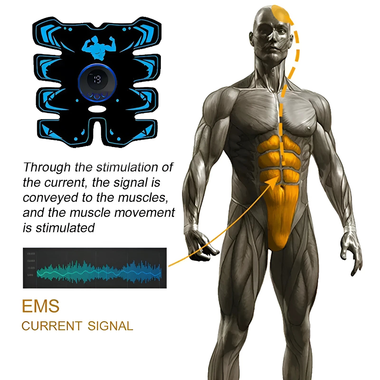EMS8 rechargeable abdominal muscle trainer three-piece set with gel pads for home and travel use
