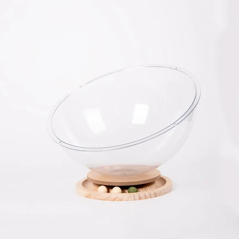 Transparent acrylic cat space capsule bathtub bed showing clear walls and capsule shape
