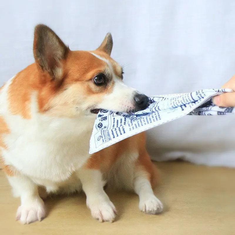 Tearproof pet dog squeaky toy simulating newspaper playing card design for Corgi puppy interactive chewing