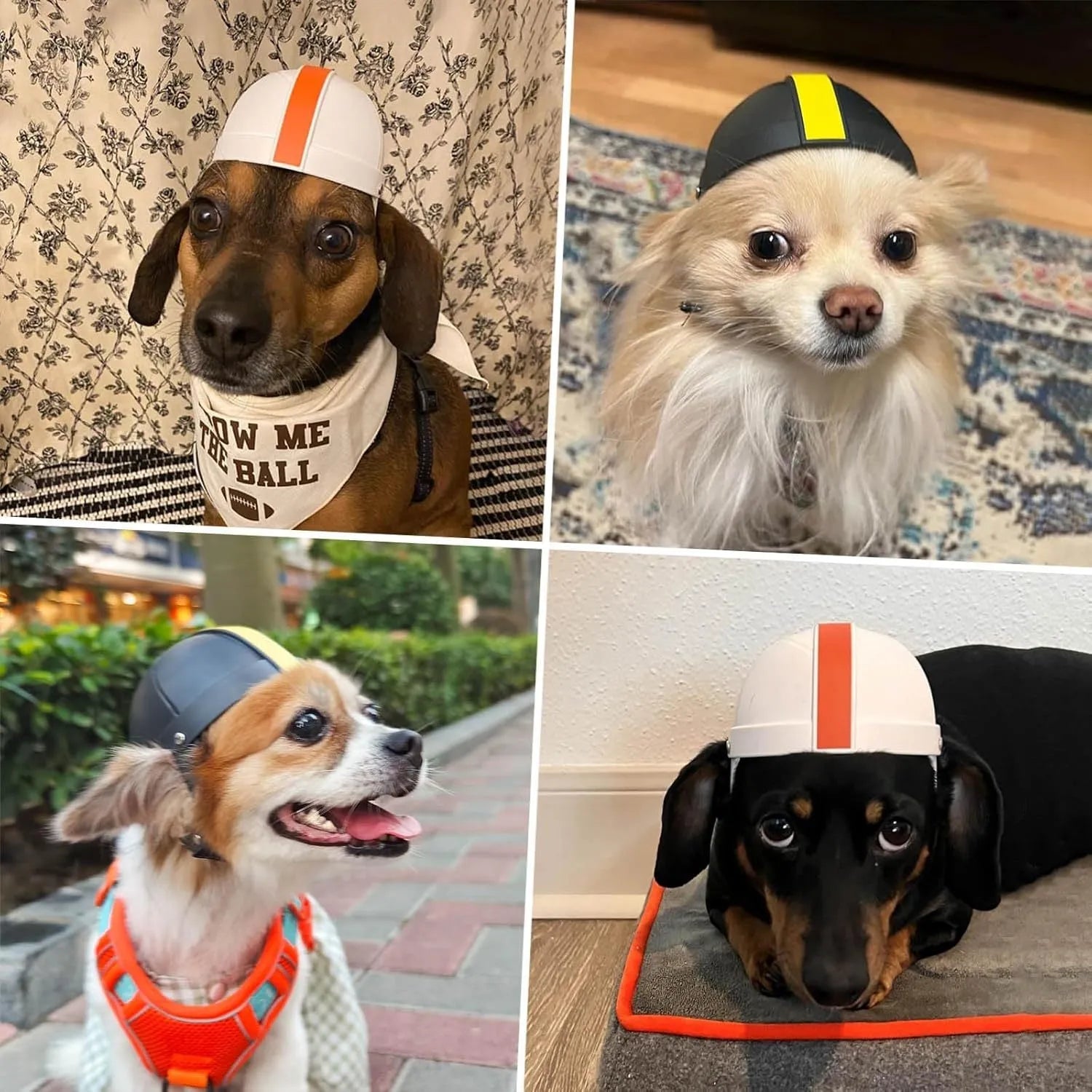 Pet motorcycle safety helmet for small dogs and cats in white orange colour