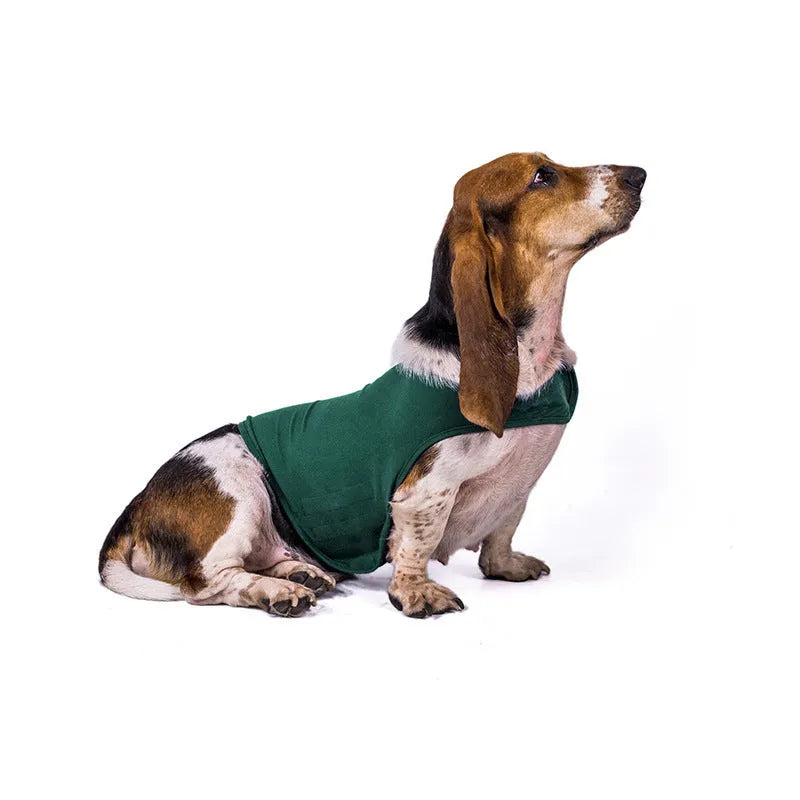 Dog anxiety comfort coat in double-sided cloth, available in blue, dark grey, green and rose red, sizes XS to XL.